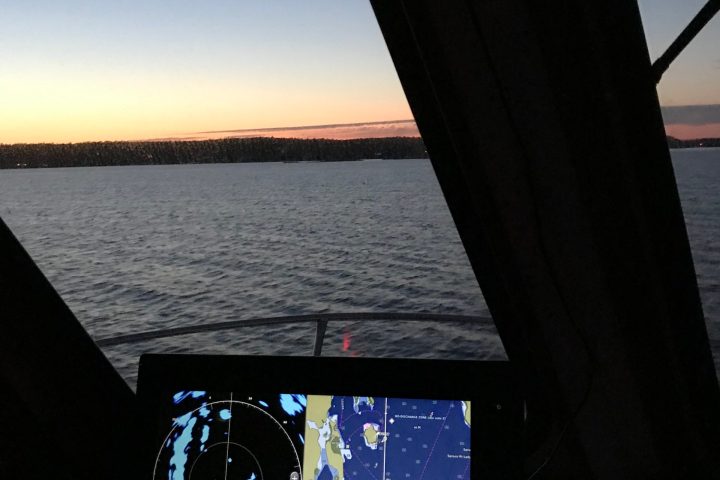 a person with a bridge in the background