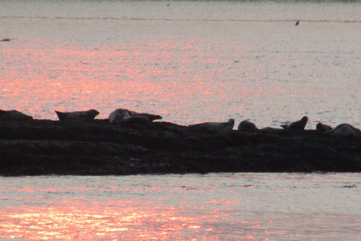 a sunset over a body of water