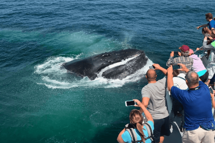 a group of people standing next to a body of water