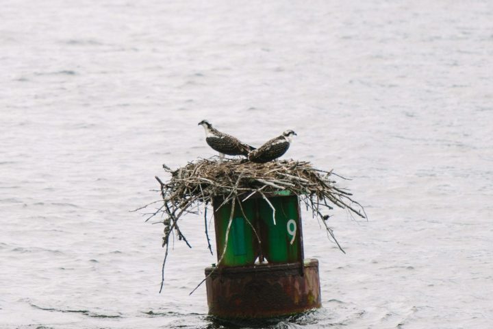 a person standing next to a body of water