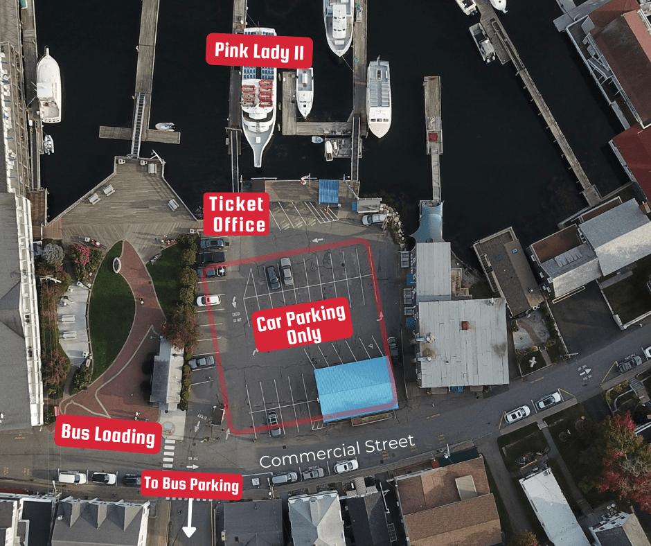 graphical user interface