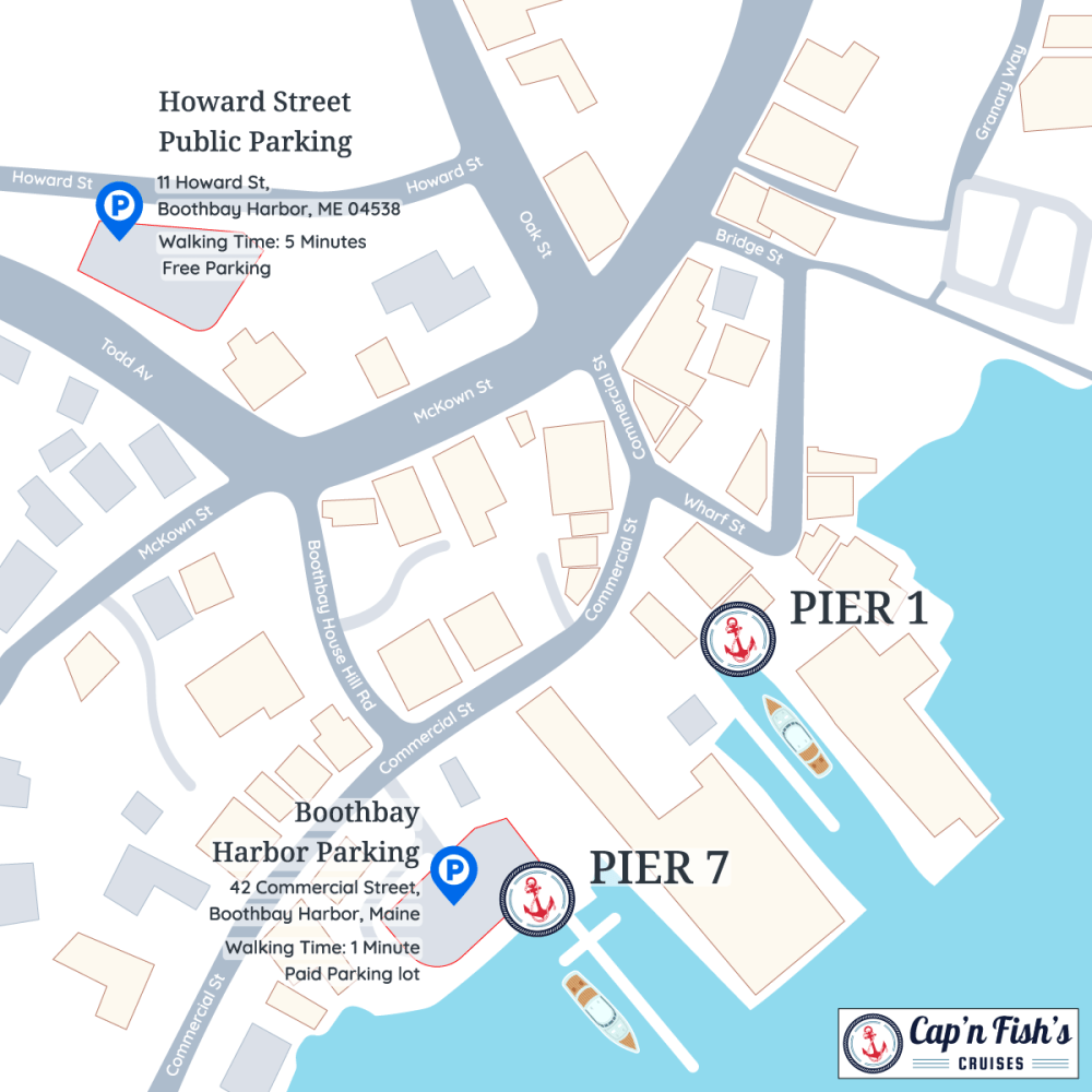 map of the parking locations for Cap'n Fish's Cruises. 