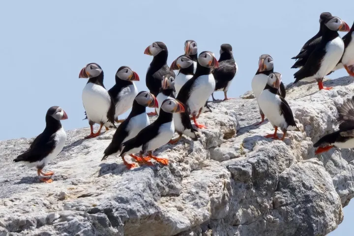 a group of people on a rock