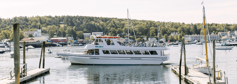 White sightseeing boat docked at harbor with town and trees in the background.